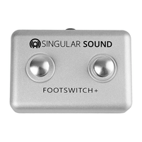 SINGULAR SOUND BEATBUDDY FOOTSWITCH - Innovative Music