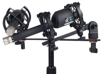 sE Electronics R17 Matched Pair w/ Shockmounts & Case - Sound Distribution - Innovative Music