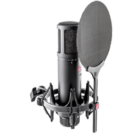 sE Electronics Cardioid Condenser Mic w/ Shockmount & Filter - Sound Distribution - Innovative Music