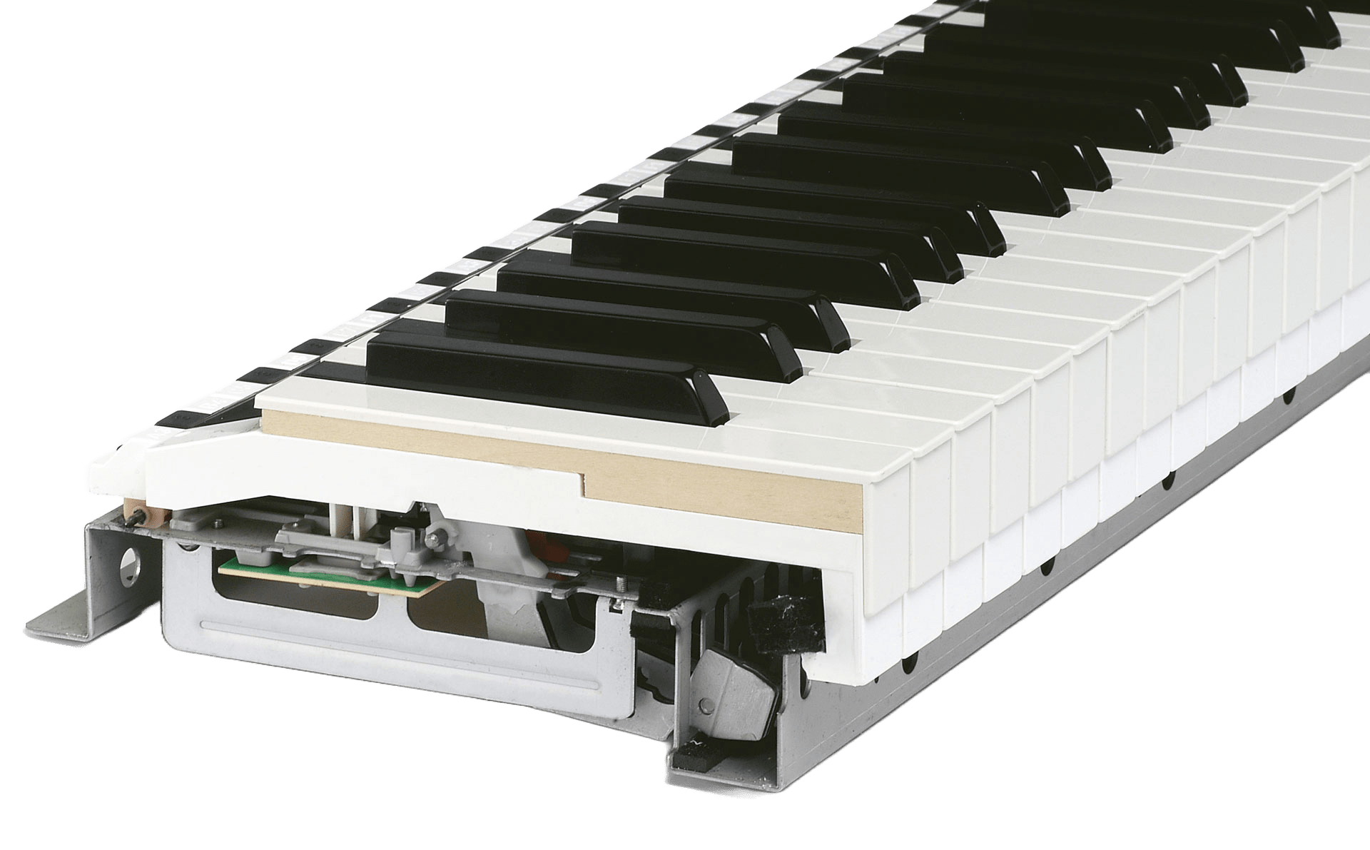 Studiologic Numa X Piano GT SE - Sound Distribution - Innovative Music
